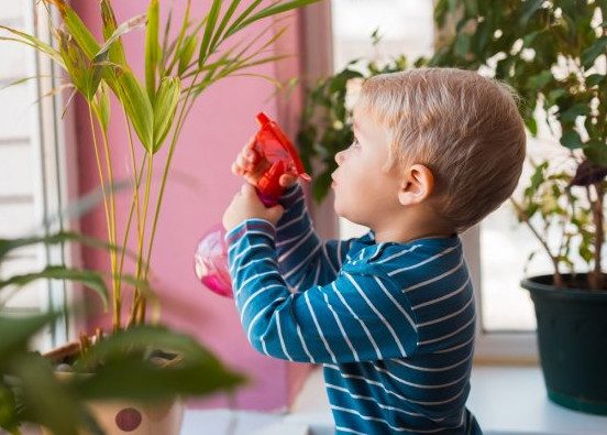 10 растений, которые идеально подходят для детской
