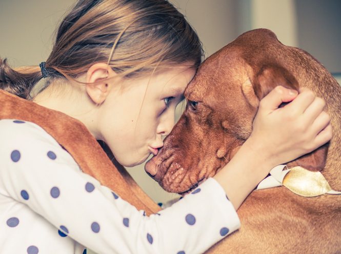 Чем опасна дружба между детьми и домашними животными