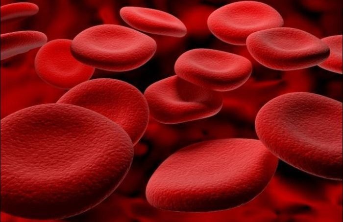 Вампиру на заметку: интересные факты о крови