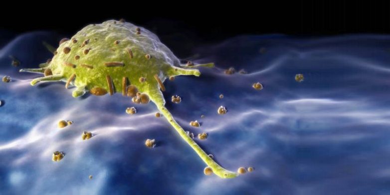 Полезный враг: как паразиты, бактерии и вирусы помогли человеку выжить?