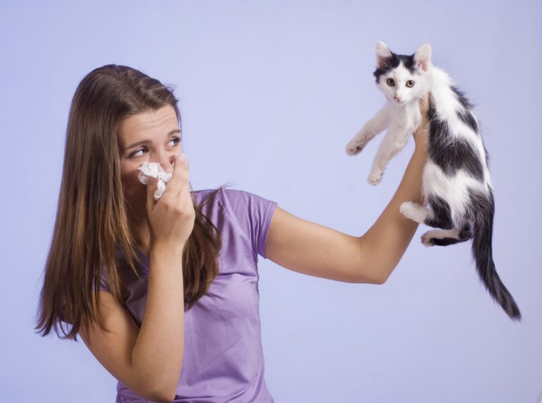Что такое аллергия и как с ней бороться