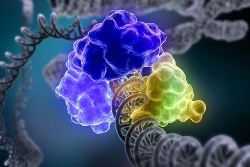Как ДНК производит починку самой себя