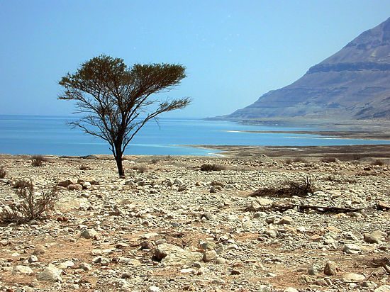 Мёртвое море может исчезнуть