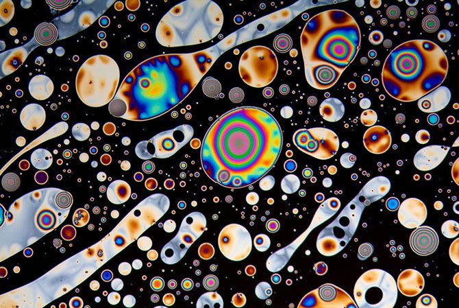 Фантастический мир под микроскопом