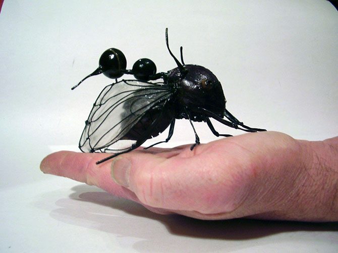 10 самых жутких жуков планеты, которых, кажется, породила сама преисподняя