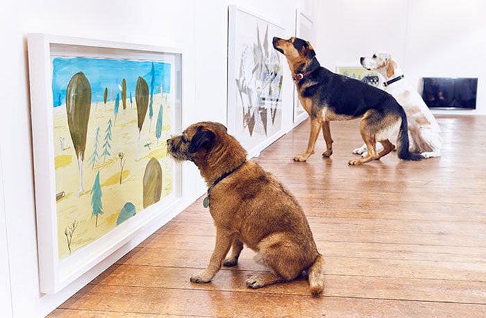 Современное искусство для... собак