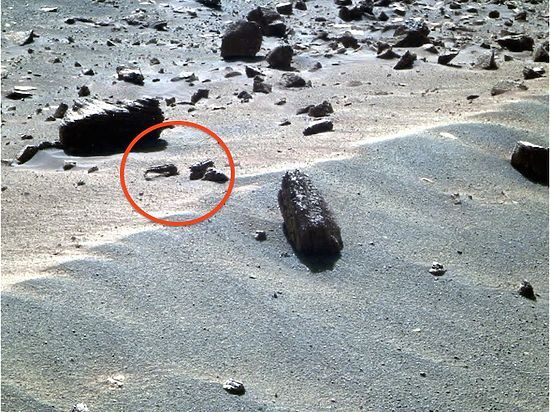 На Марсе нашли скорпиона и креветку