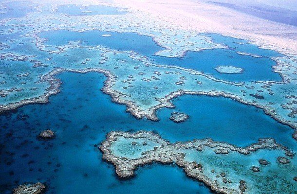 Факты о Большом Барьерном рифе