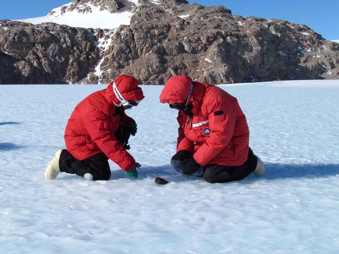 Интереснейшие антарктические открытия, сделанные совсем недавно