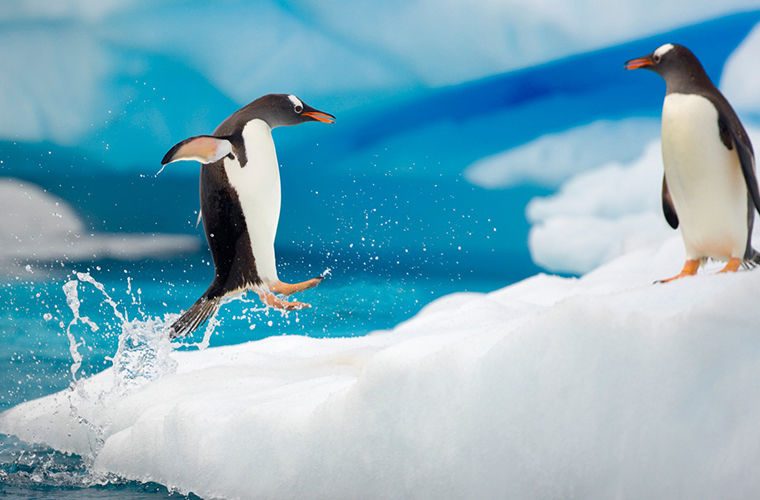 Удивительные рекорды Антарктиды