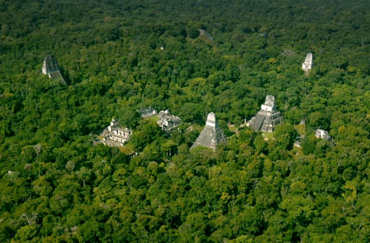 Учёные обнаружили огромный город майя в лесах Гватемалы