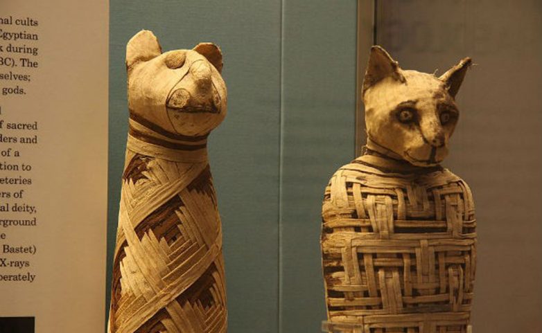 Жутковатые факты о мумиях