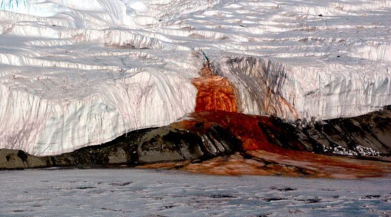 10 шокирующих находок в Антарктиде, поставивших учёных в тупик