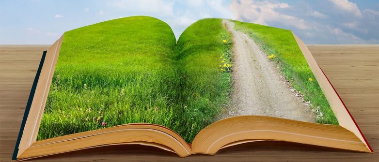 Путь книжного червя: советы, техники и упражнения, которые позволят повысить скорость чтения на 300 %