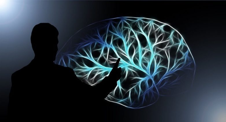 10 научно обоснованных способов взломать собственный мозг и стать эффективнее