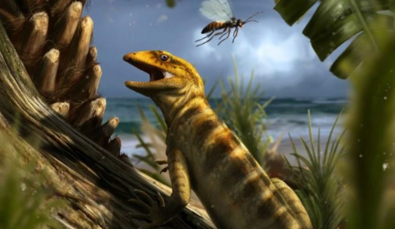 Найден предок современных змей и ящериц, которому 240 миллионов лет в обед