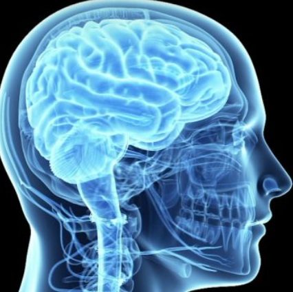 Отпечаток мозга: человека можно идентифицировать по его энцефалограмме
