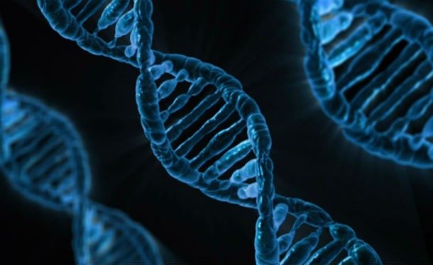Интересная генетика: 14 любопытных фактов о ДНК