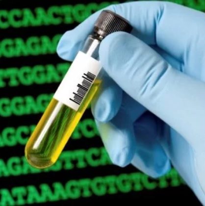 Ginkgo Bioworks планирует использовать человеческие клетки как «фабрики по требованию»