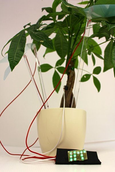 Учёные смогли превратить комнатное растение в электростанцию