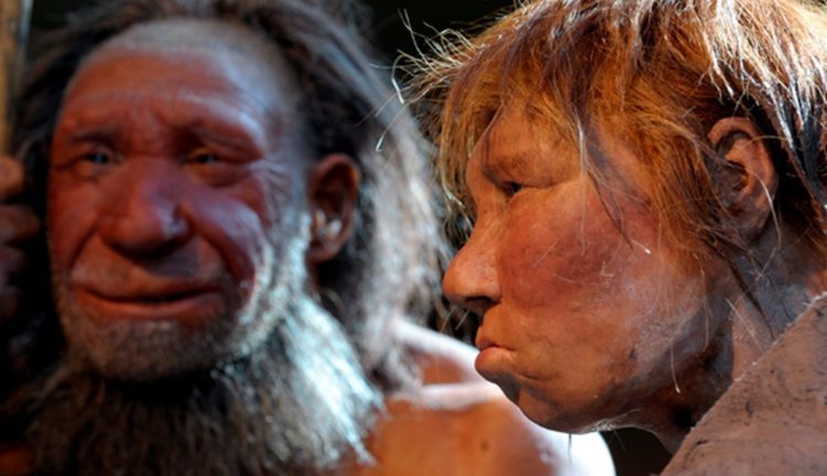 Неандерталец неандертальцу... еда?