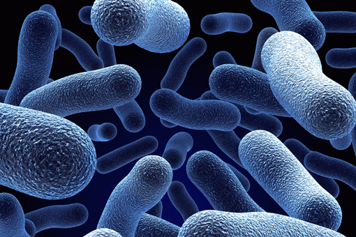 По данным учёных, антибиотики скоро могут стать бесполезными