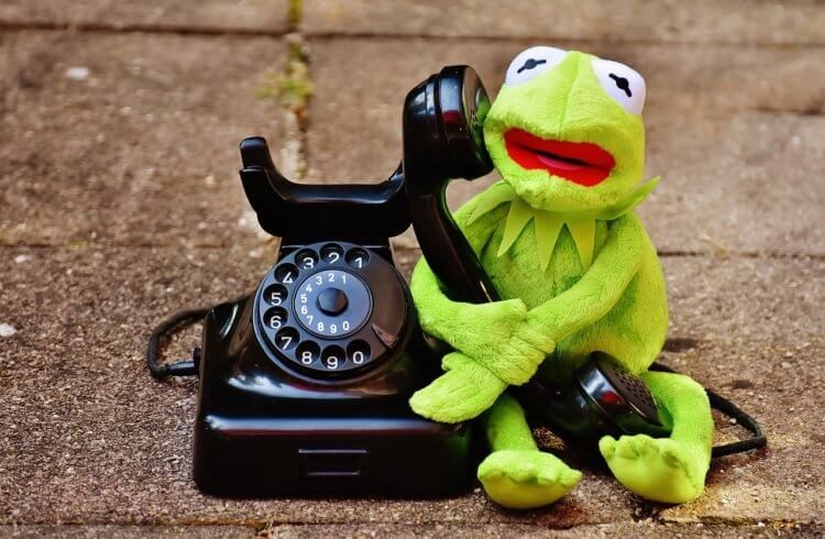 — Алло? — Ква-ква! Создан телефон для лягушек