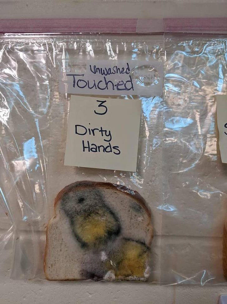 Шокирующий эксперимент: учительница показала детям, почему важно мыть руки