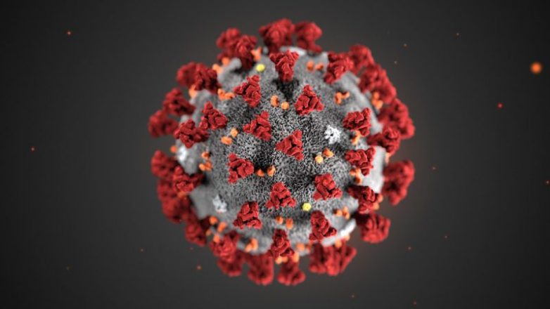 5 самых оригинальных версий происхождения коронавируса