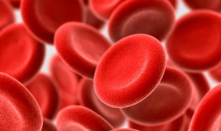 Всё о группах крови человека: чем они различаются и почему их нельзя смешивать?