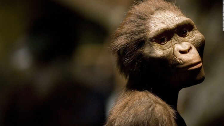 Действительно ли человек произошёл от обезьяны?
