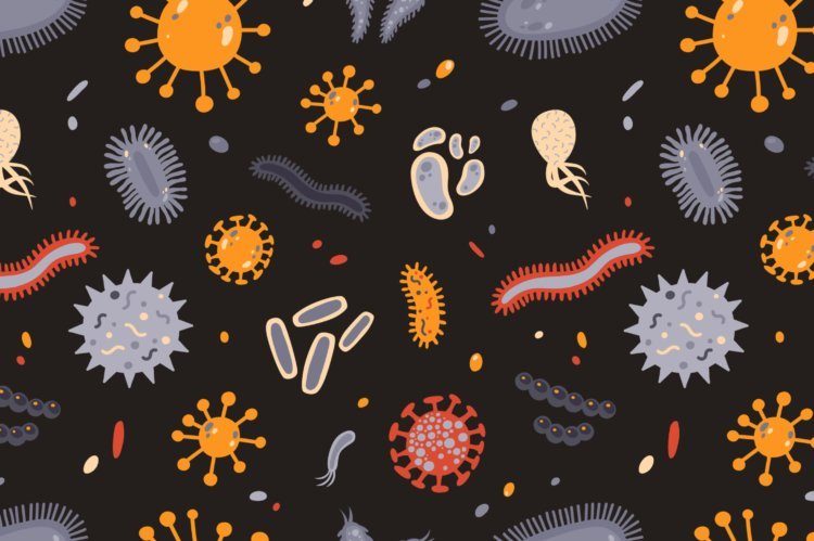 Ликбез: бактерии, микробы и вирусы — в чём разница?