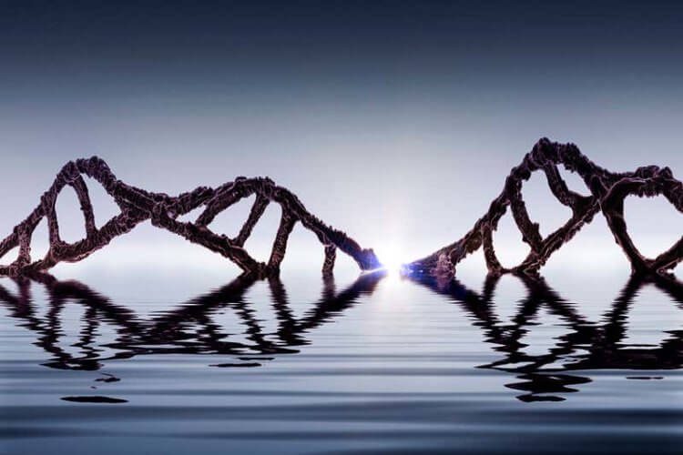 Коктейль из молекул ДНК и РНК: новая версия происхождения жизни на Земле