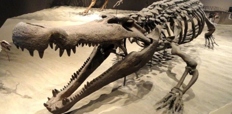 Этих древних монстров боялись даже динозавры!