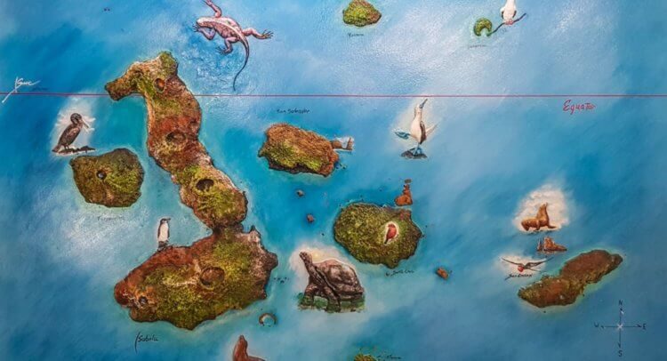 В Тихом океане обнаружены 30 новых форм жизни