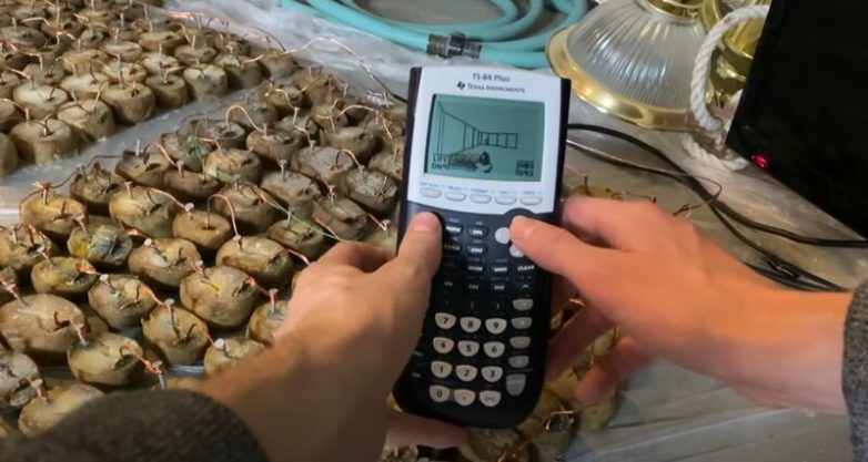 Можно ли запустить DOOM на калькуляторе с помощью 200 картофелин?