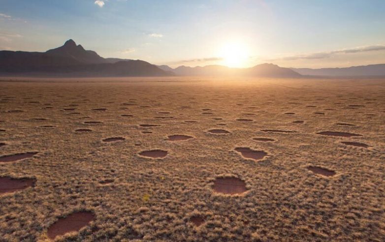 Учёные смогли разгадать тайну появления «волшебных» кругов в африканской пустыне