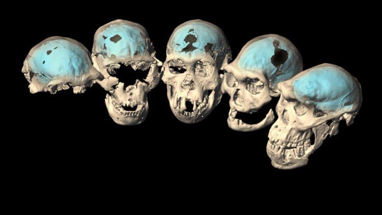 Насколько умны были наши предки — древние люди?