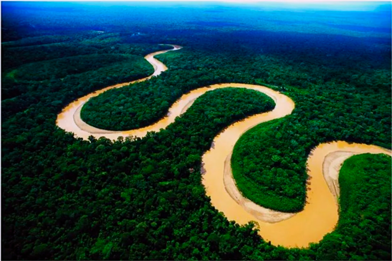 Секреты Амазонки