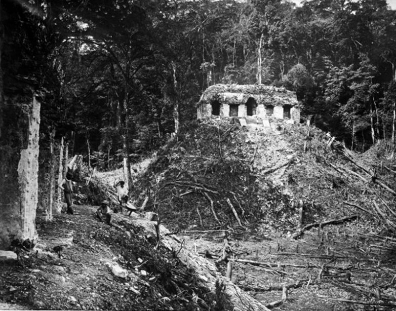 Наследие древних: из истории открытия и изучения цивилизации майя