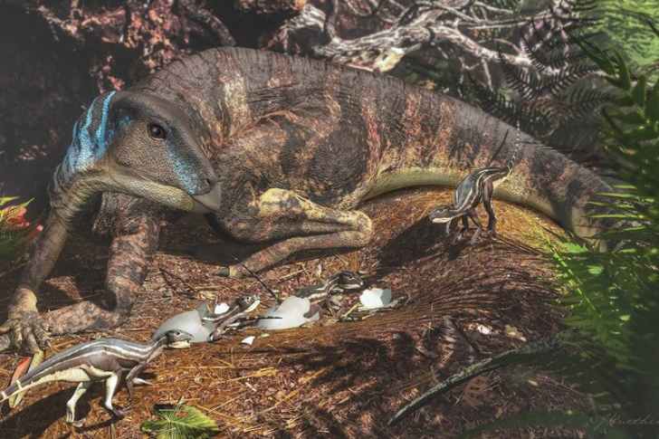 Палеонтологи нашли останки новорождённого динозавра