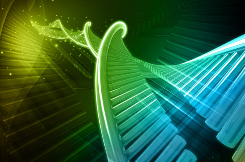 Генетическая магия: бактерия с искусственным участком ДНК оказалась способна к воспроизводству