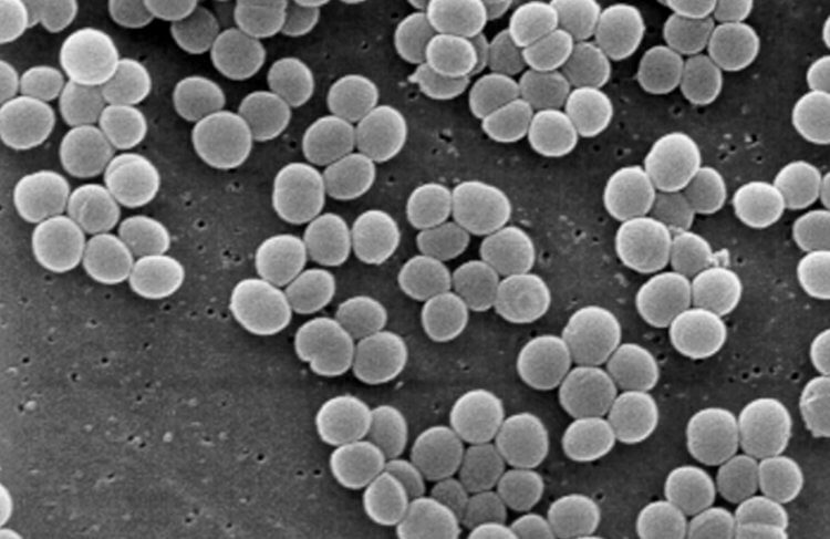 Учёные открыли безопасный вид ультрафиолета, который эффективно уничтожает микробы