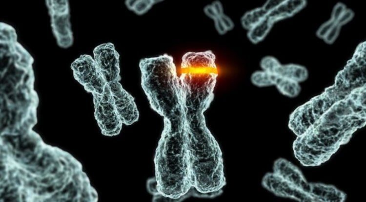 Как мутации ДНК влияют на старение организма