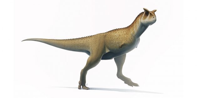 10 самых странных динозавров, когда-то топтавших нашу Землю