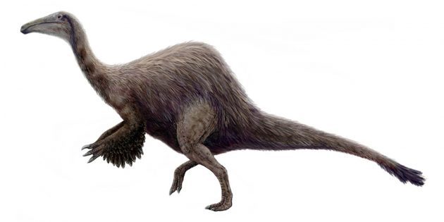 10 самых странных динозавров, когда-то топтавших нашу Землю