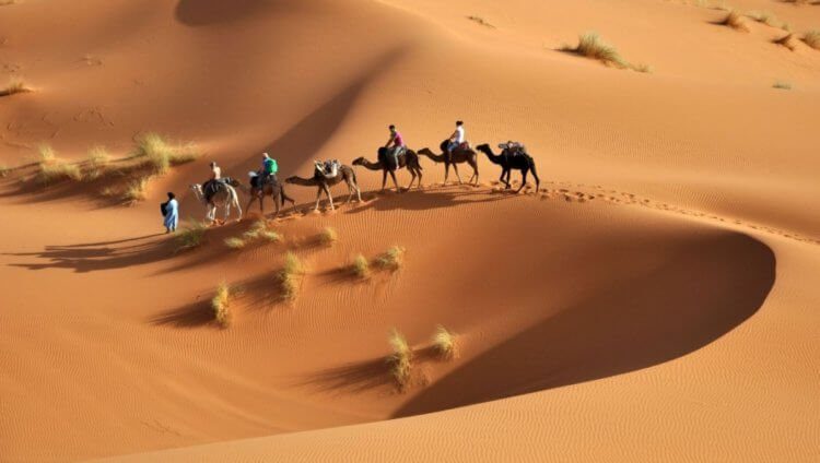 Вопрос на засыпку: какова толщина песка в пустыне?
