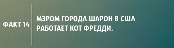 15 сенсационных фактов, которые ломают сложившиеся представления о мире