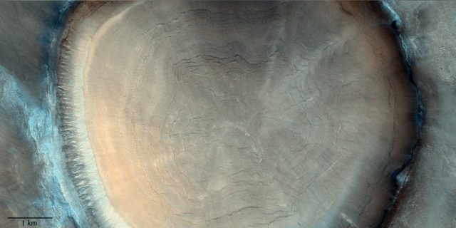 На Марсе обнаружен гигантский пень — что же это такое?