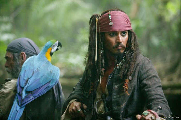Зачем пираты на самом деле заводили попугаев?